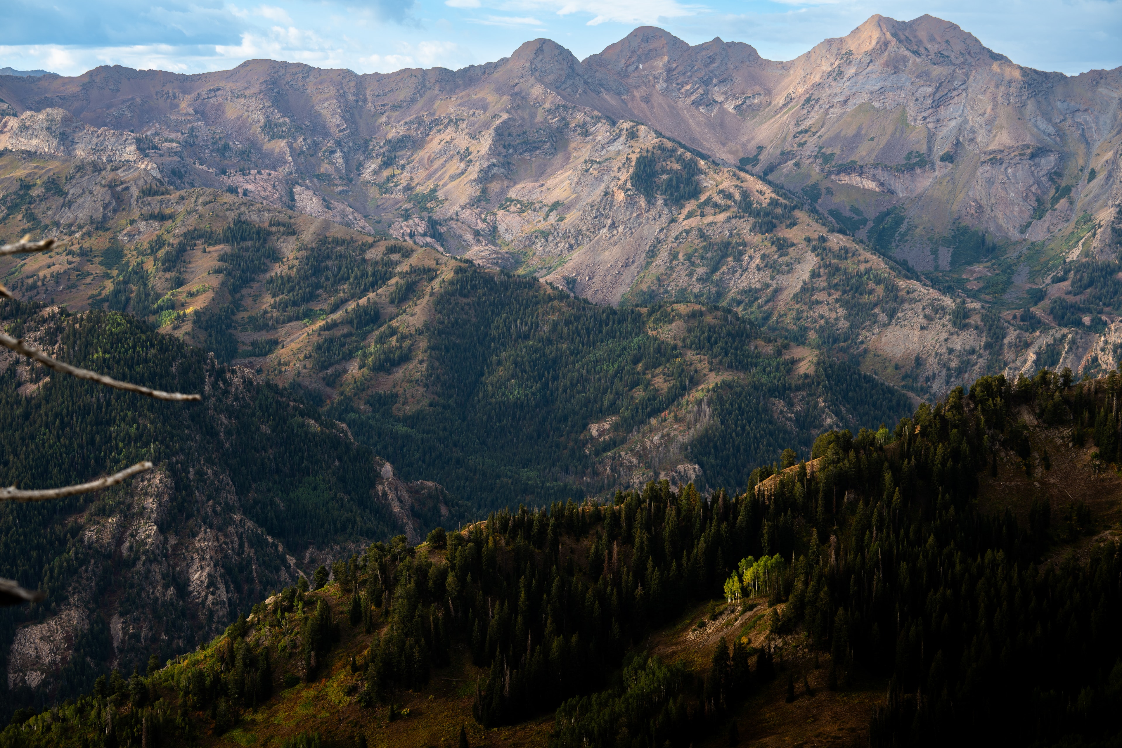 Wasatch peaks in evening light with autumn color running up the drainages